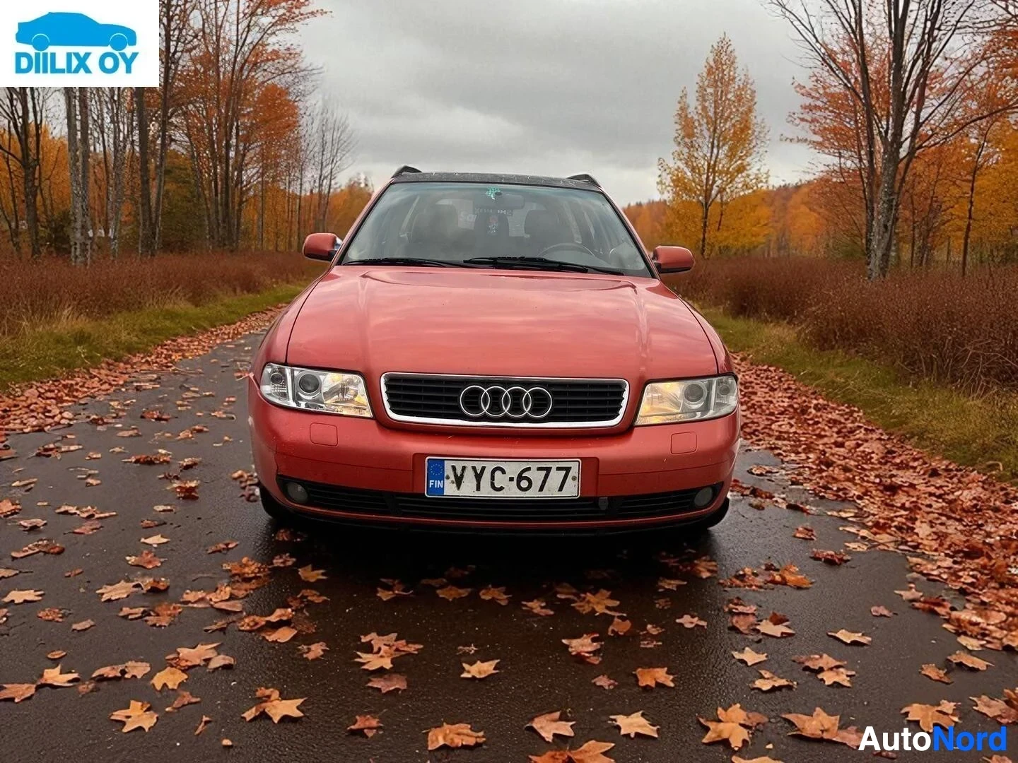 Edestä: Punainen Audi A4 farmari etulta, rekisteritunnus, syyslehvistö taustalla