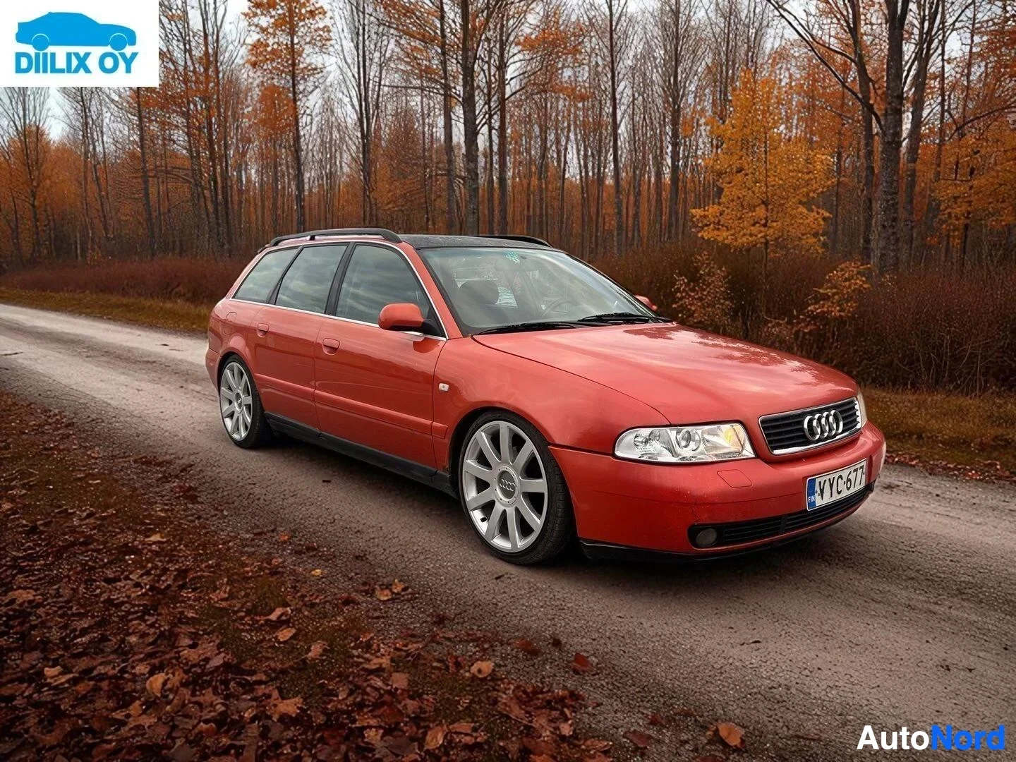 Sivulta: Punainen Audi farmari sivusta, rekisterinumero näkyvissä, puu-alue taustalla