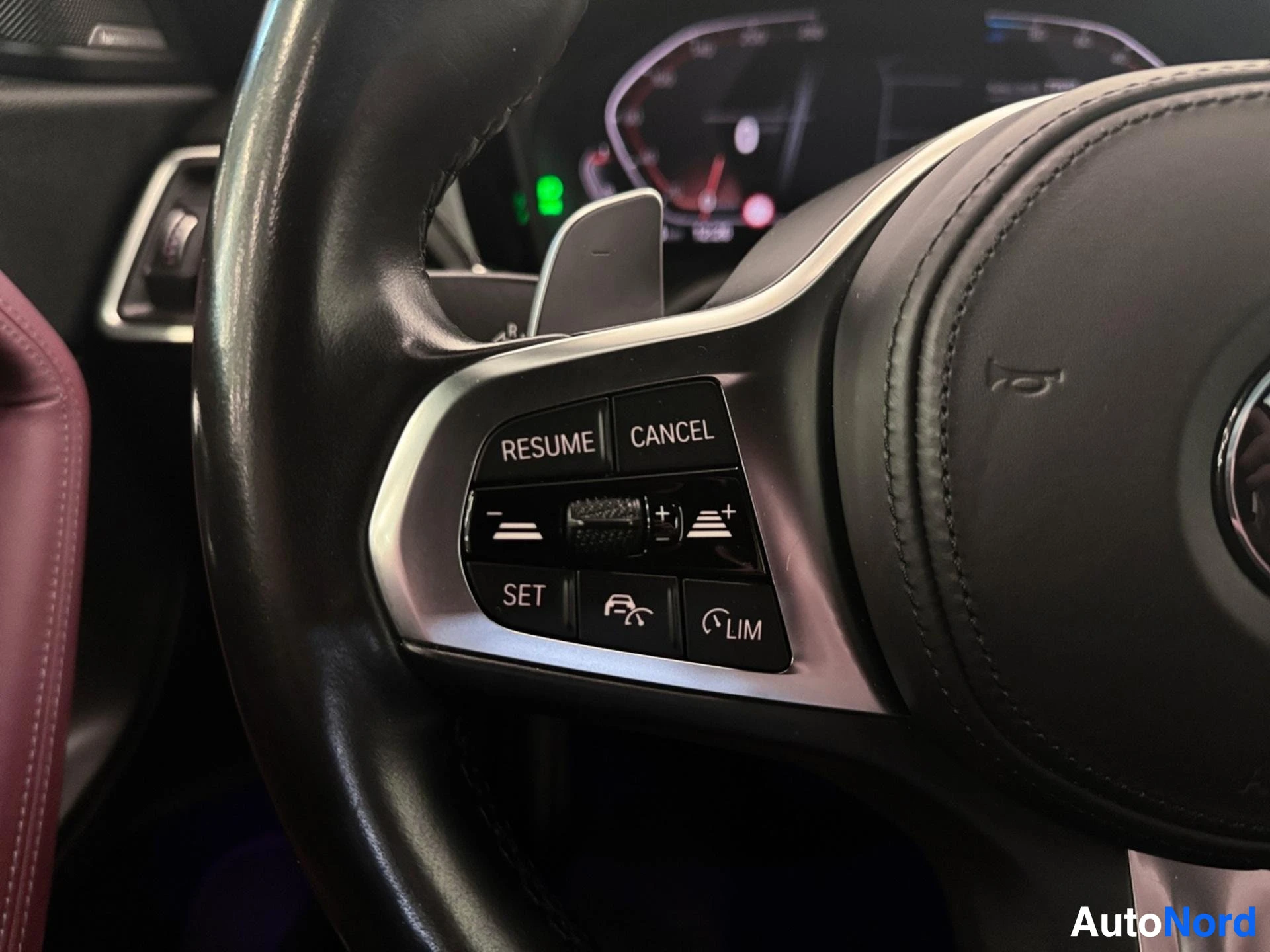 Left steering wheel spoke buttons showing resume, cancel, set and cruise control functions