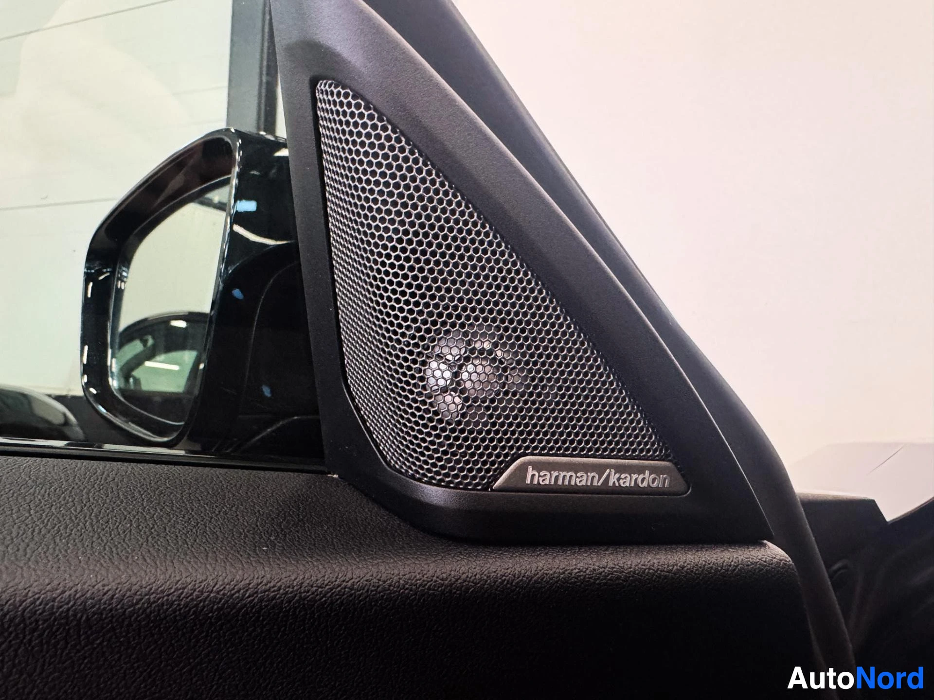 Harman Kardon speaker grille and black side mirror detail.