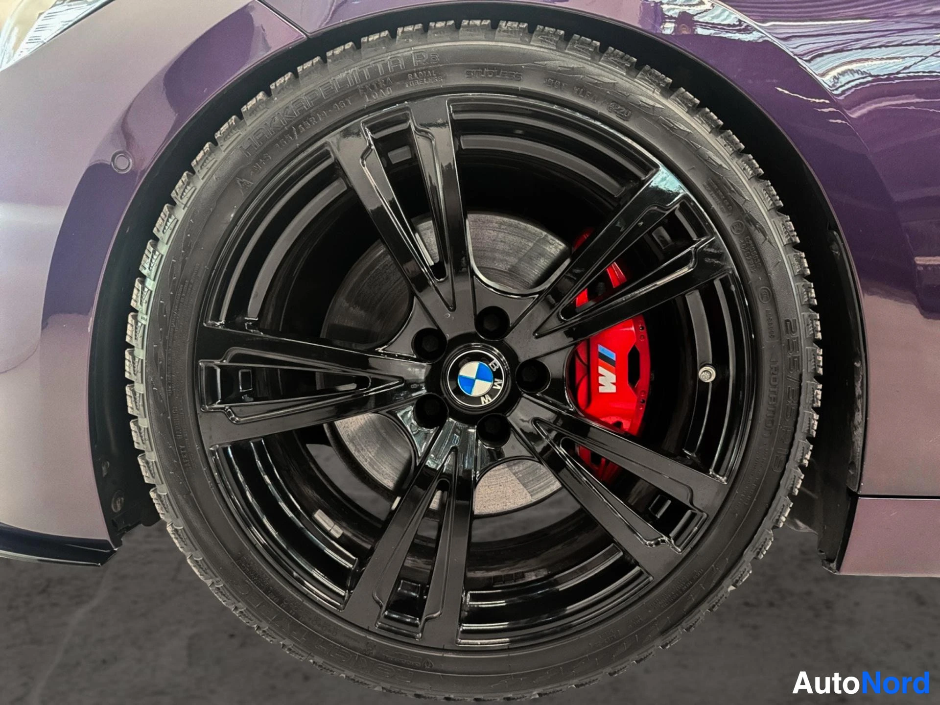 Black multi-spoke wheel with red brake caliper and Michelin tire