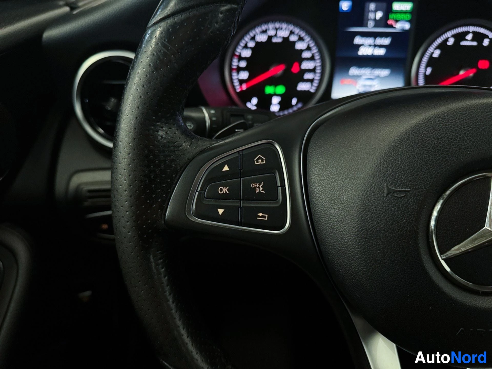 Steering wheel controls and speedometer detail