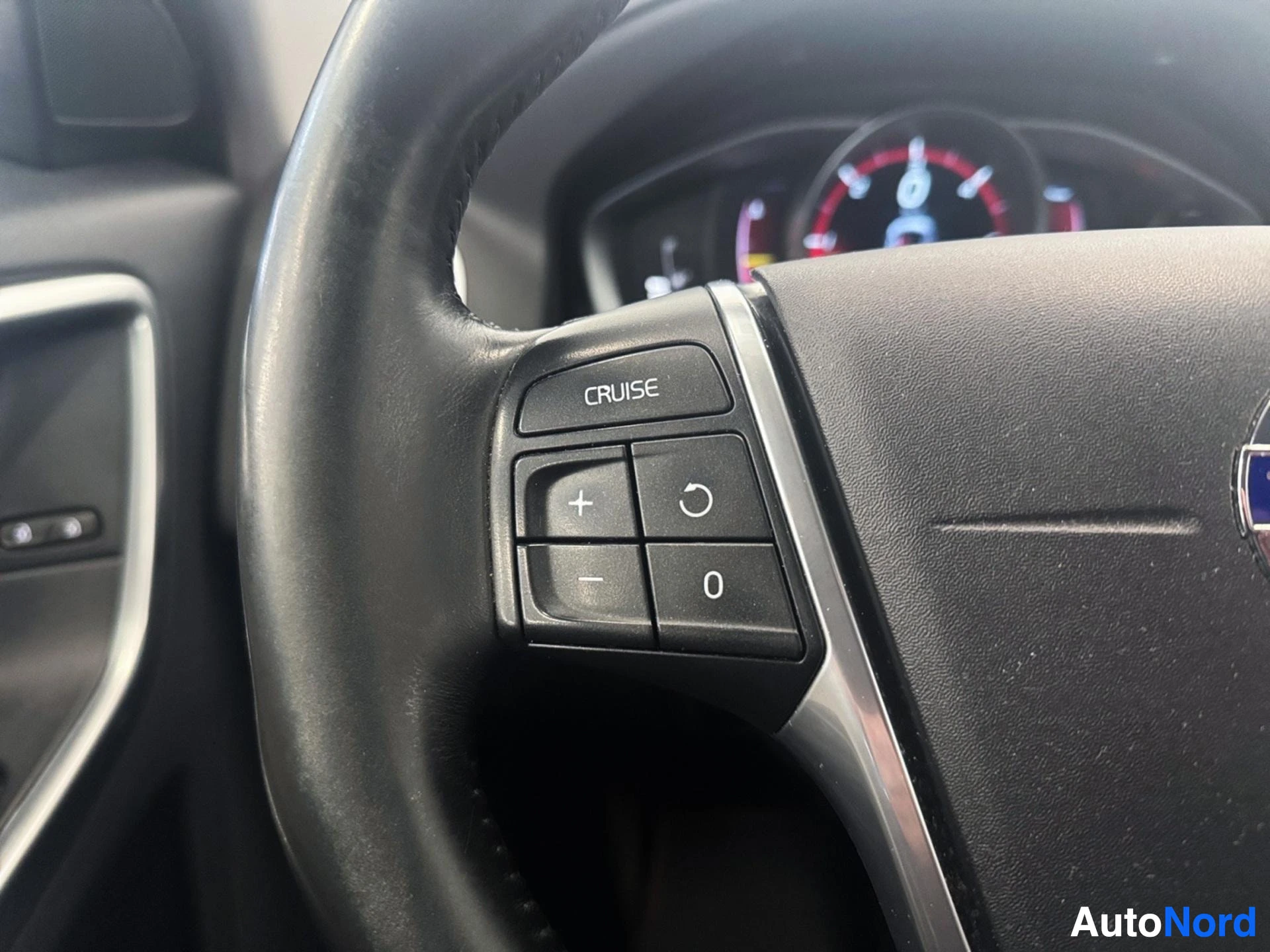 Steering wheel left side with cruise control buttons and speedometer behind
