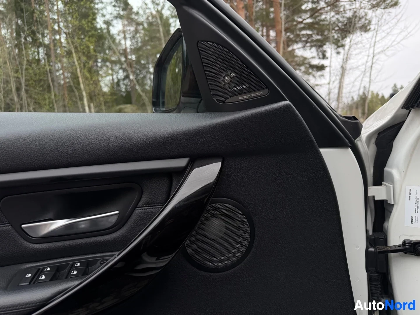 Door panel detail with Harman Kardon speaker and trim elements visible