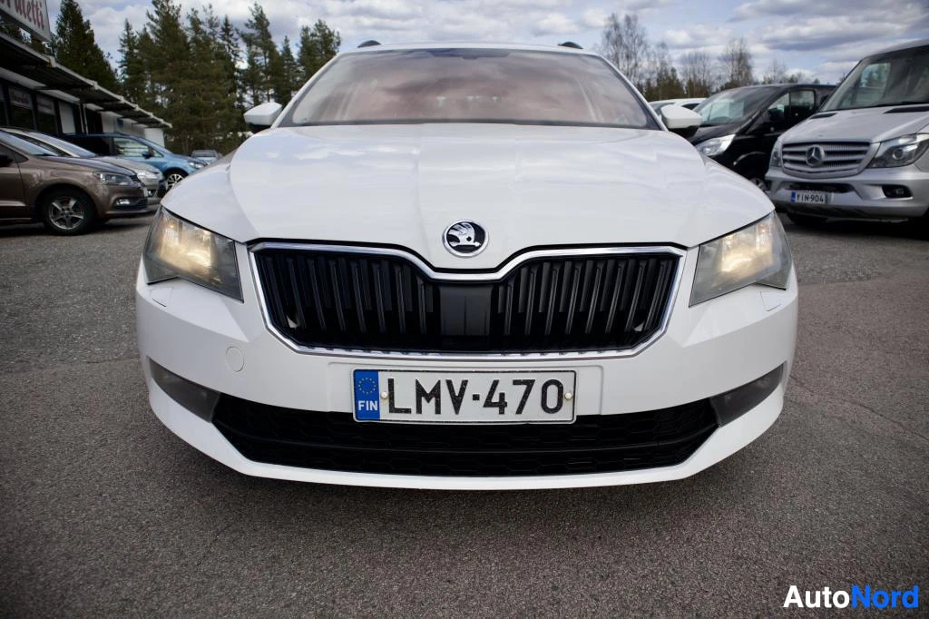 Edestä: Valkoisen farmariauton etuosa. Autossa on musta etusäleikkö, Skodan logo, kirkkaat ajovalot ja eturekisterikilpi. Taustalla näkyy muita autoja ja puita.