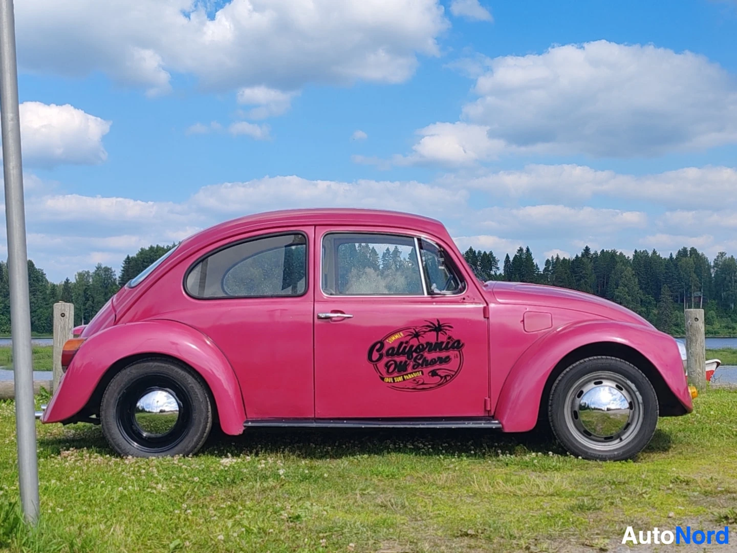 Sivulta: Vaaleanpunainen Volkswagen Kupla on pysäköity nurmikolle joen rantaan. Auton kyljessä on "California Out Shore" -tarra, jossa on palmuja.