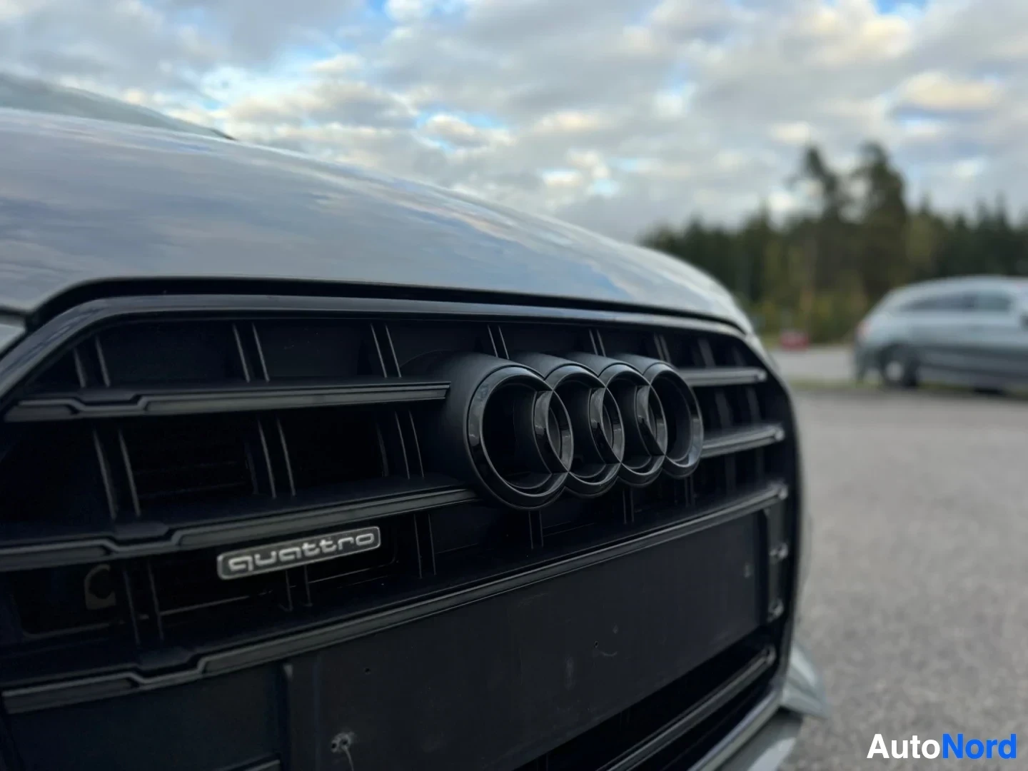 Yksityiskohta: Lähikuva auton etusäleiköstä, jossa on neljän renkaan musta logo ja "quattro"-teksti vasemmalla. Säleikkö on musta. Taustalla näkyy puita ja sumea auto.