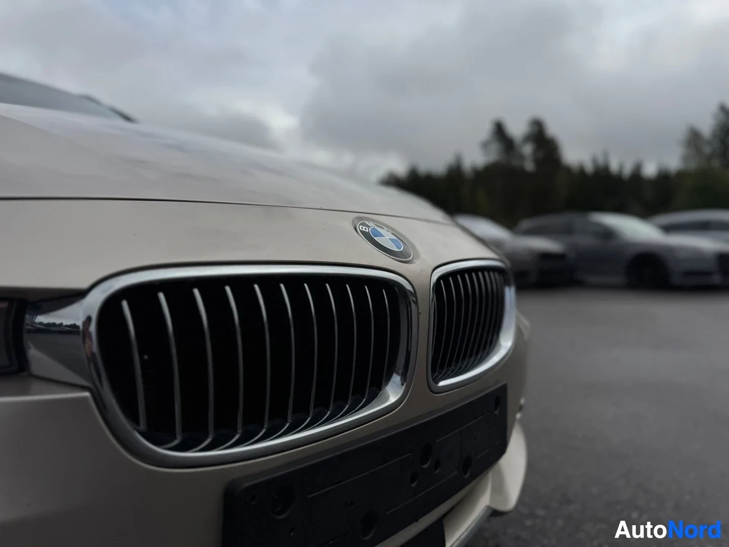 Edestä: Lähikuva beigen auton etusäleiköstä, jossa BMW-logo. Etupuskurissa on rekisterikilven pidike.