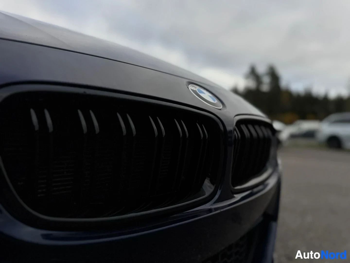 Yksityiskohta: Lähikuva auton tummansinisestä konepellistä ja mustista munuaisritilöistä. BMW-logo näkyy konepellissä.