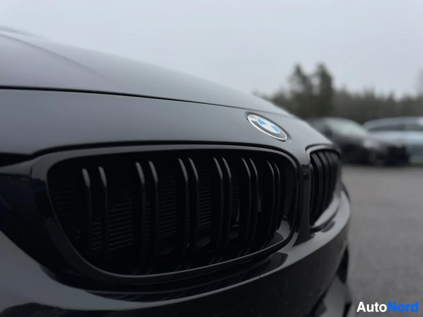 Yksityiskohta: Lähikuva kiiltävän mustan auton etusäleiköstä ja konepellistä. Säleikön yläpuolella on BMW-logo.