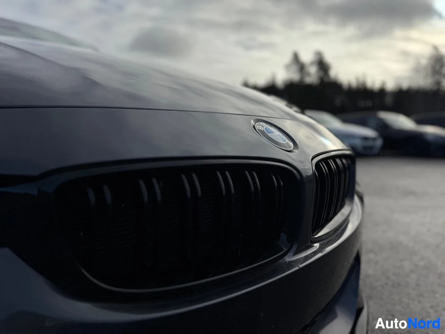 Yksityiskohta: Lähikuva auton etuosasta, keulamaski ja osa konepeltiä näkyvissä. BMW-logo on näkyvissä konepellin reunassa.