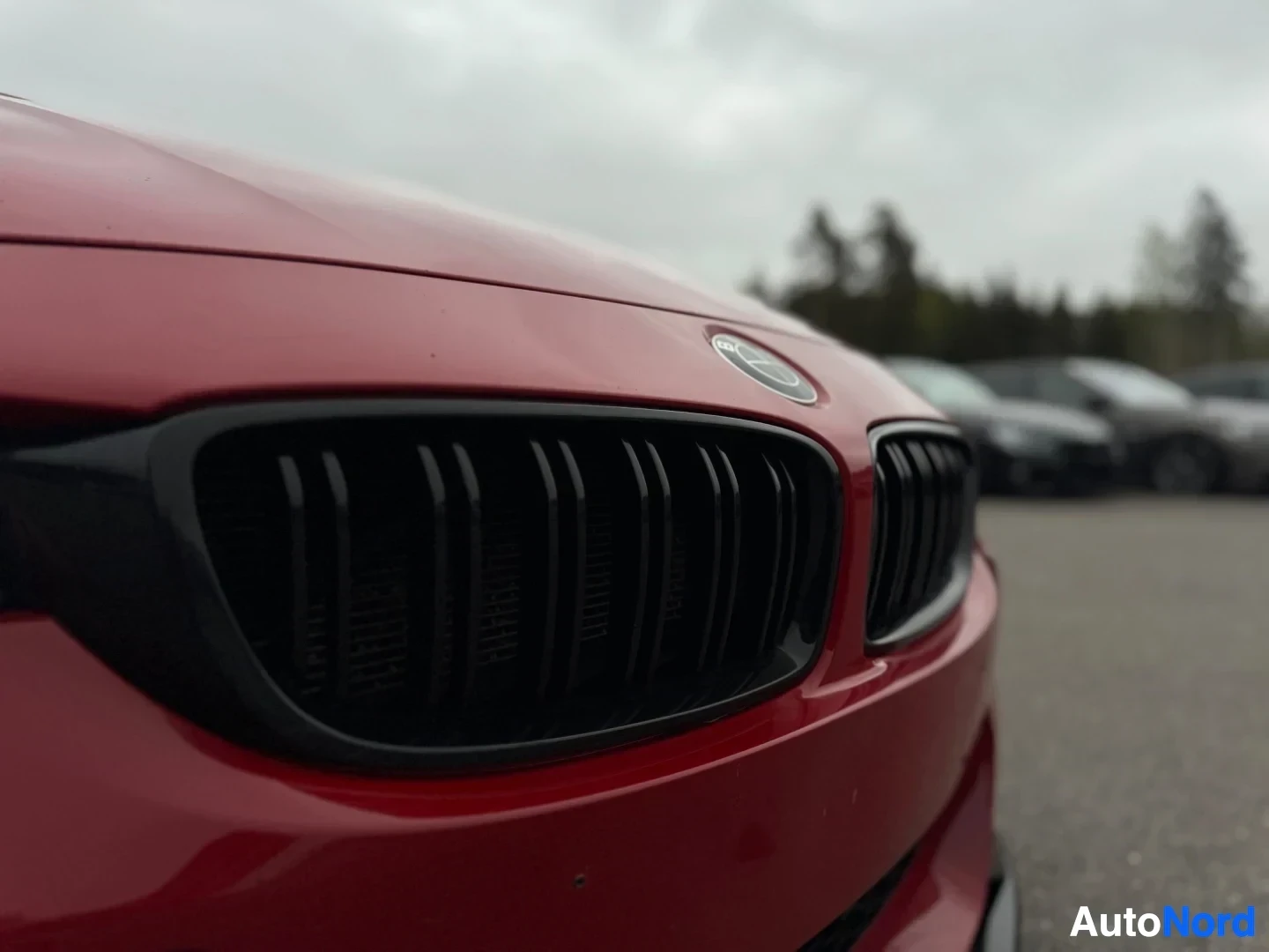 Edestä: Lähikuva punaisen auton keulasta, jossa näkyvät mustat munuaisgrillit ja BMW-logo konepellissä.