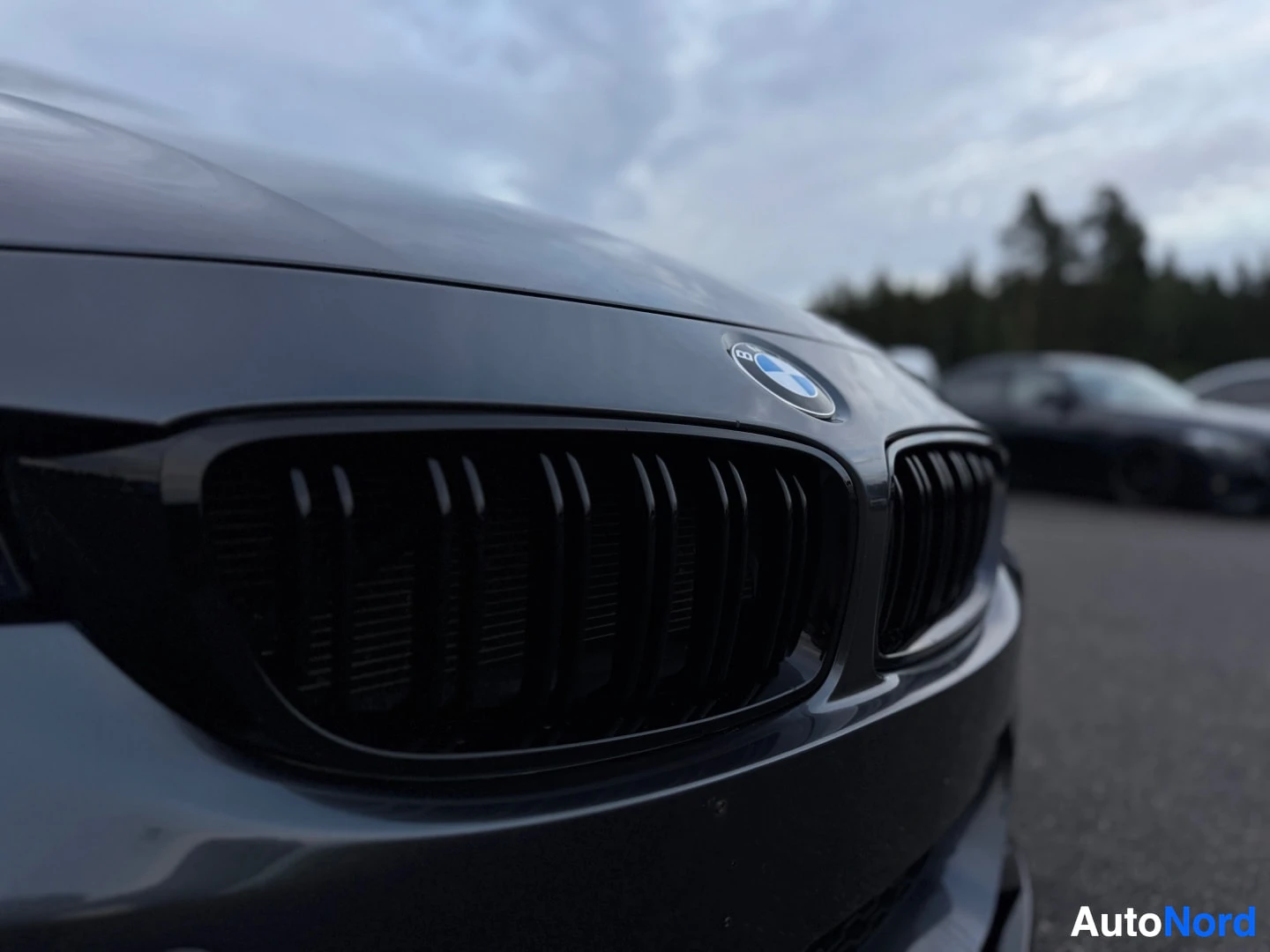 Yksityiskohta: Lähikuva harmaan auton etuosasta, jossa näkyvät mustat säleiköt ja BMW-logo konepellissä.