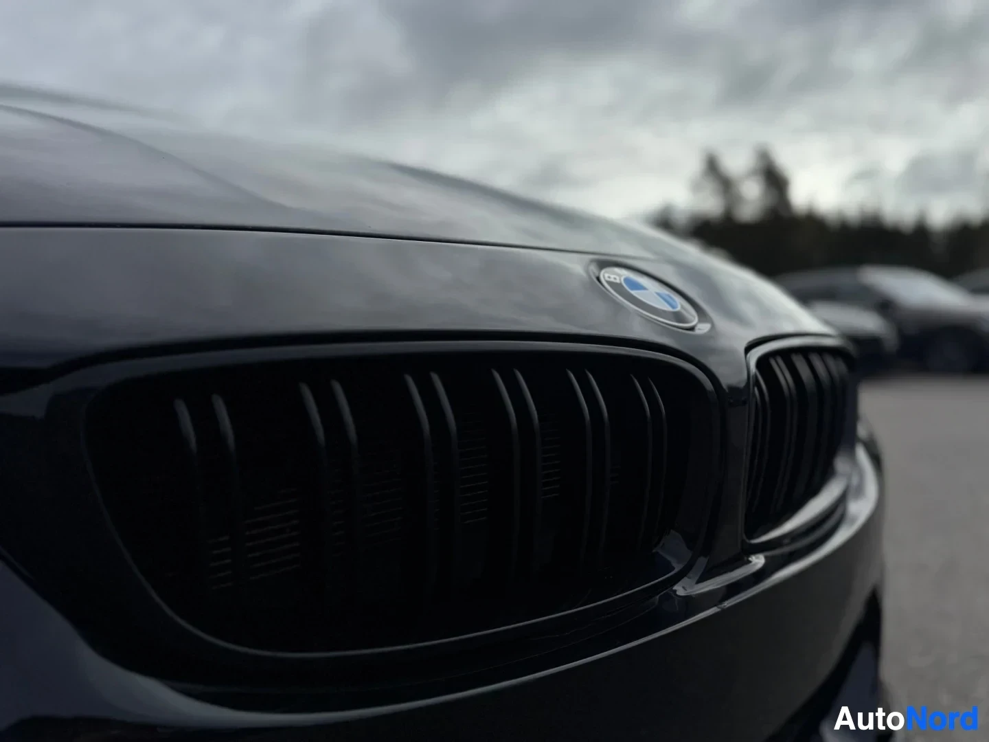 Yksityiskohta: Lähikuva mustasta etusäleiköstä ja BMW-merkistä, osittain näkyvissä oleva konepelti heijastaa pilvistä taivasta.