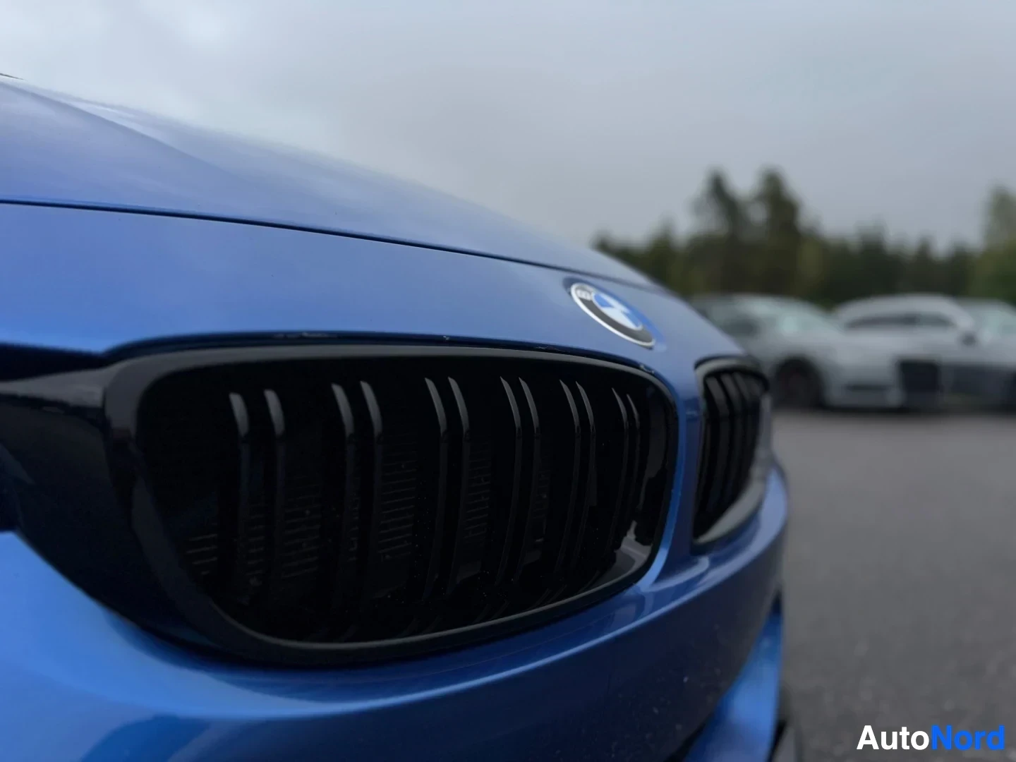 Yksityiskohta: Sinisen auton etusäleikkö, jossa on mustat pystyrimat ja BMW-logo konepellissä. Säleikkö on ylhäältä alaspäin kapeneva.