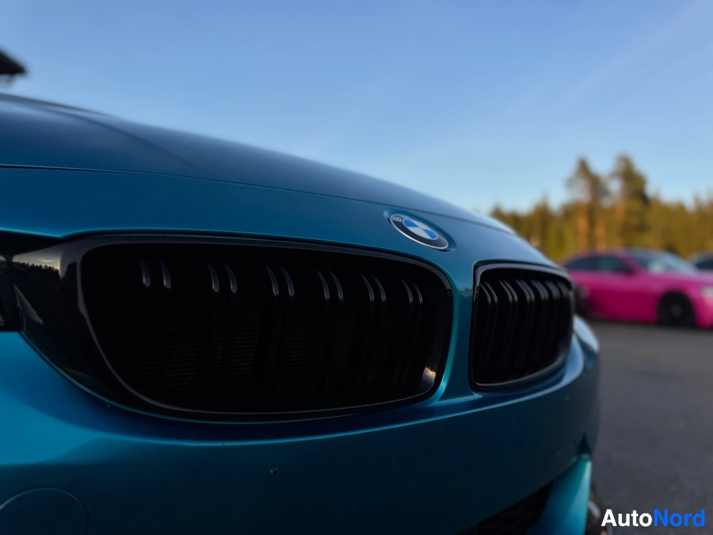 Yksityiskohta: Lähikuva turkoosin auton mustasta munuaissäleiköstä ja BMW-merkistä. Taustalla näkyy epätarkasti muita autoja ja puita.