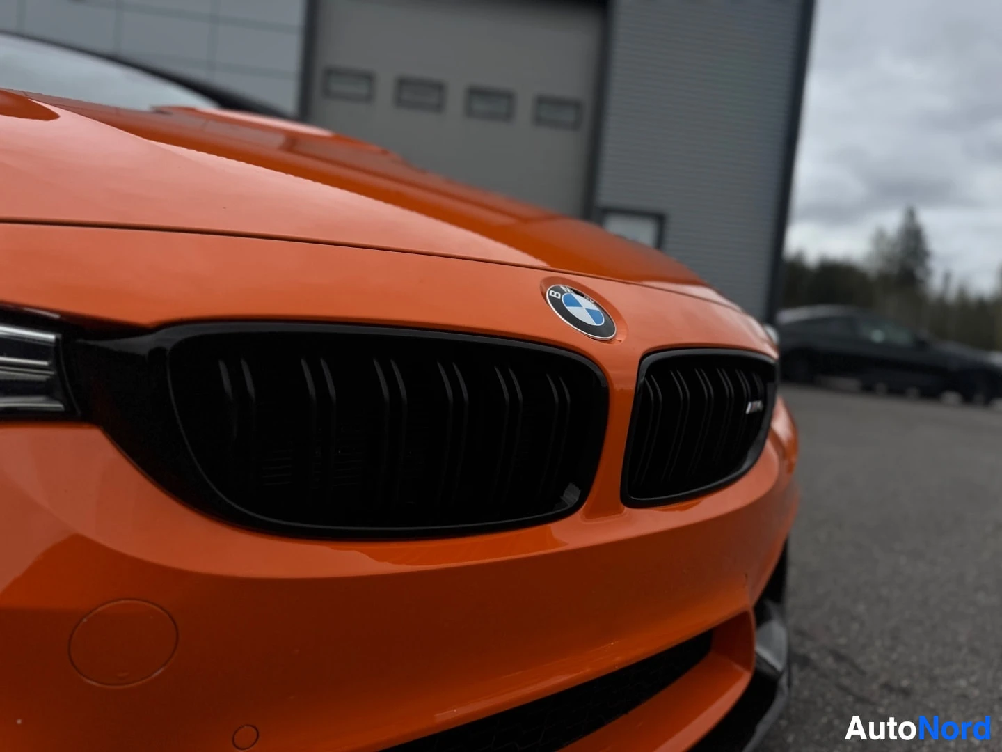 Yksityiskohta: Lähikuva oranssin auton etuosasta, keskittyen mustiin jäähdyttimen säleikköihin ja BMW-logoon. Vasemmalla näkyy ajovalon kulma ja puskurissa parkkitutkan anturi