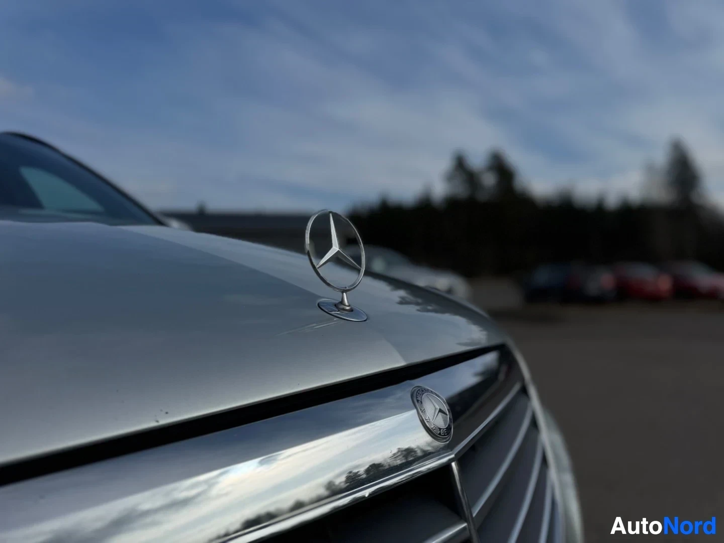 Yksityiskohta: Lähikuva auton konepellin Mercedes-Benz-logosta ja etusäleiköstä.