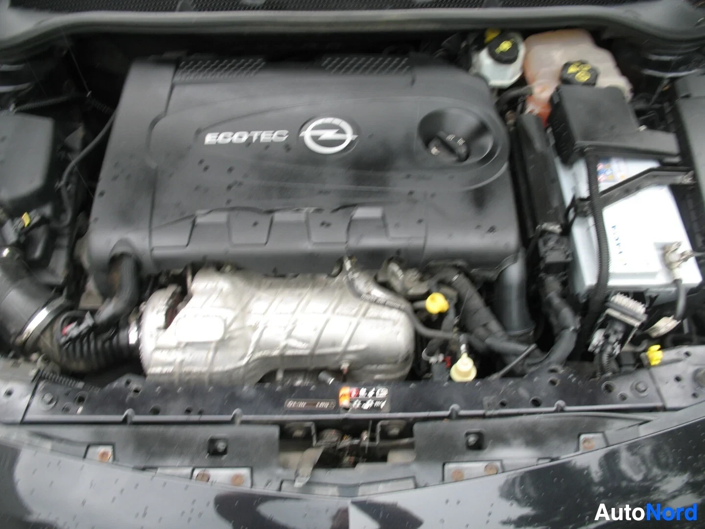 Moottoritila: Kuva auton moottoritilasta, jossa näkyy musta muovinen moottorin suojakansi, jossa on "ECOTEC"-teksti ja Opel-logo. Myös akku ja erilaisia letkuja ja säiliöitä