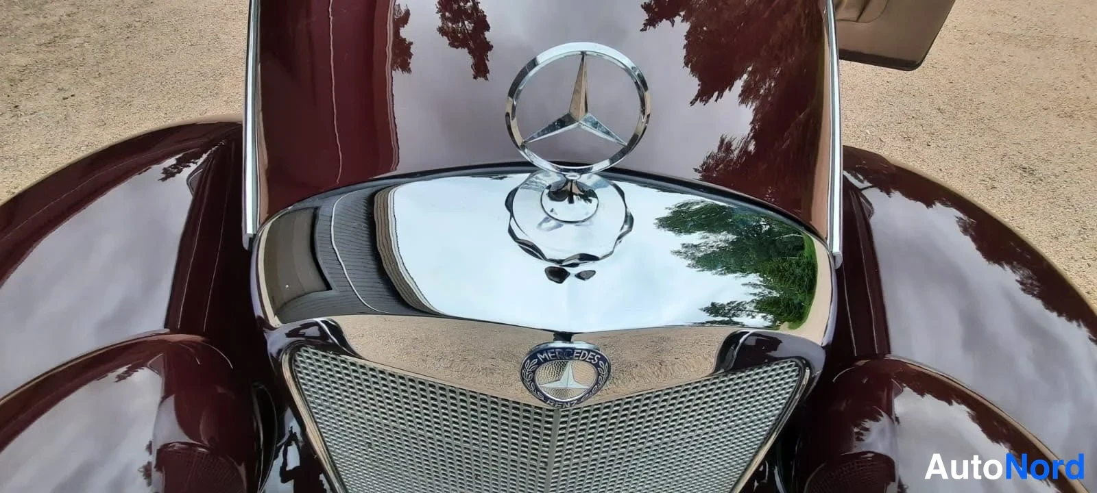 Edestä: Mercedes-Benz 170 Sb 1952, lähikuva keulasta: kromattu tähtimerkki konepellin päällä ja Mercedes-tunnuksella varustettu säleikkö, tummanpunaisessa autossa.
