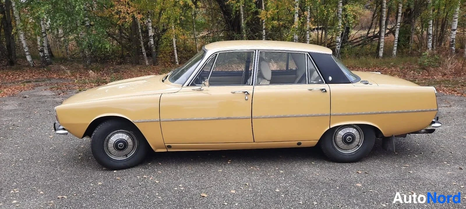Sivulta: Beige Rover P6 -sedan sivusta vasemmalta.