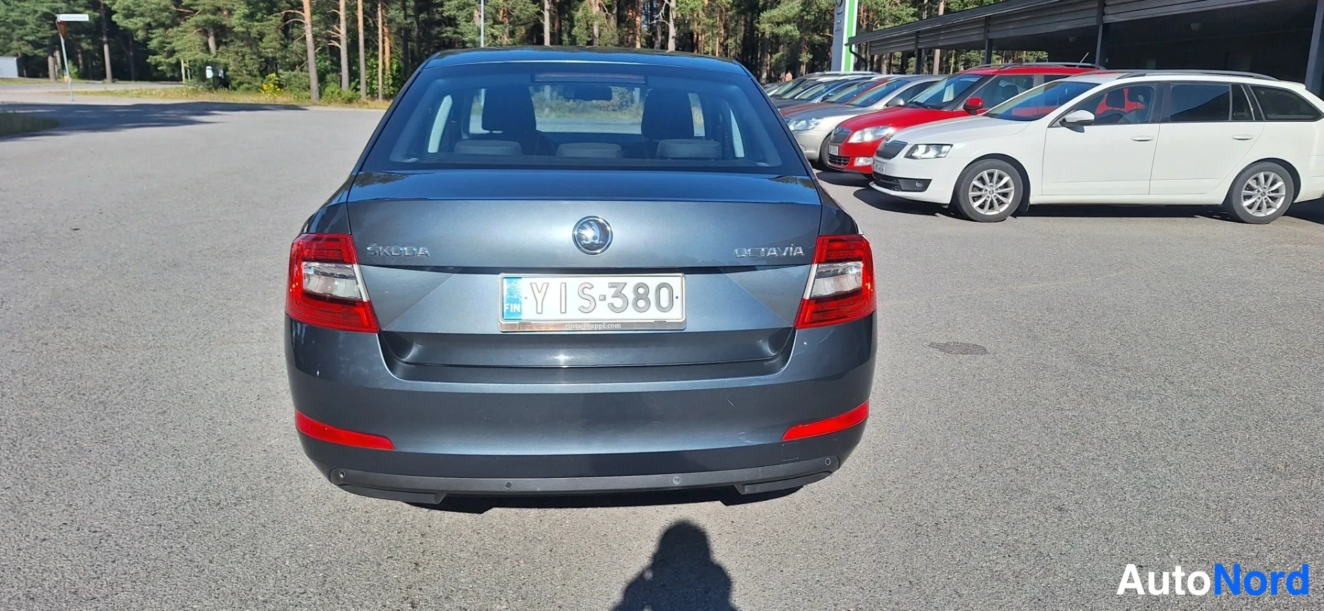 Takaa: Skoda Octavian takaosa suoraan takaa, teksti OCTAVIA ja kilpi näkyvissä.
