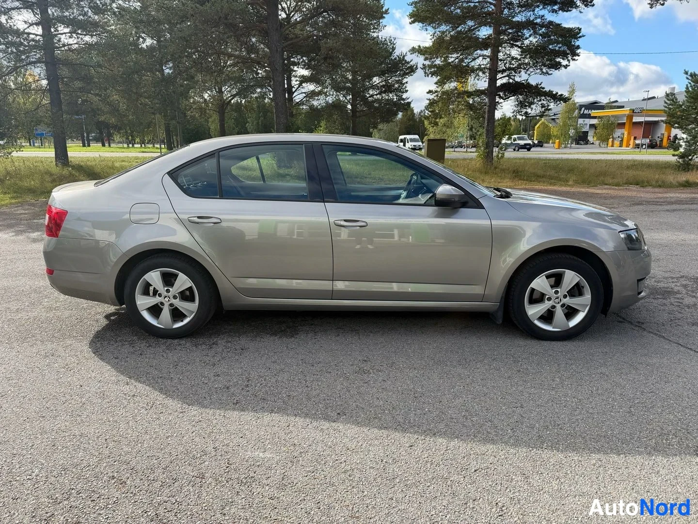 Etuviisto, nokka oikealle: Hopeanharmaa henkilöauto sivulta etukulmasta valtatien varrella puistoalueen reunalla.