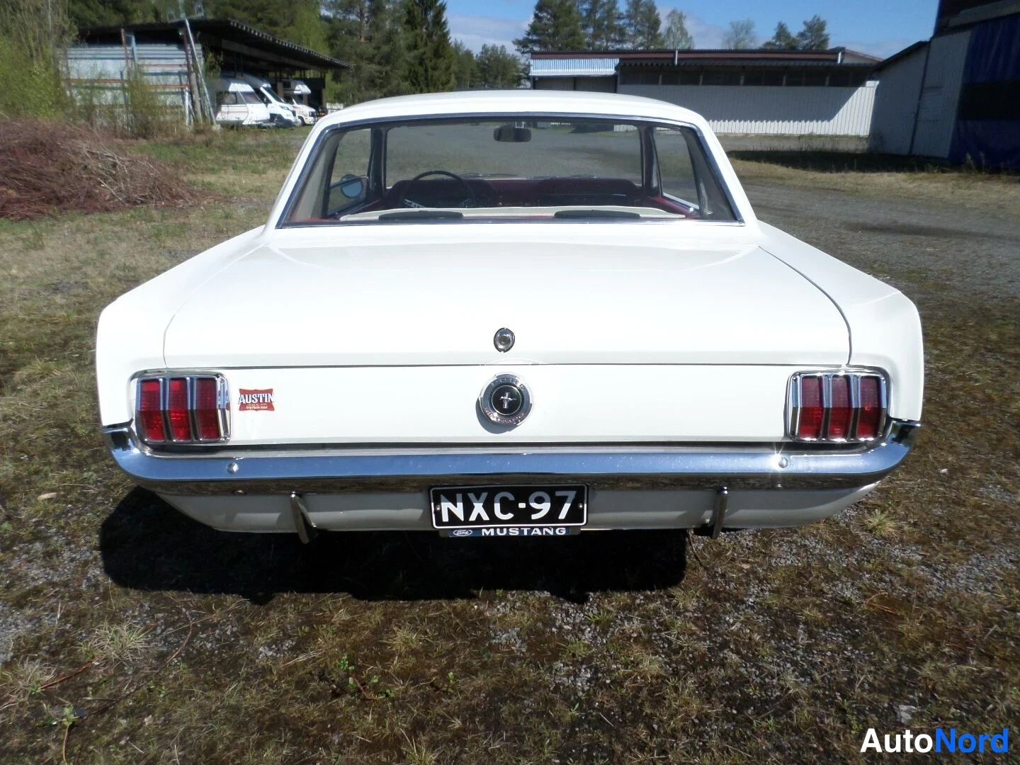 Valkoinen Ford Mustang 1965, takaa, kuva 14