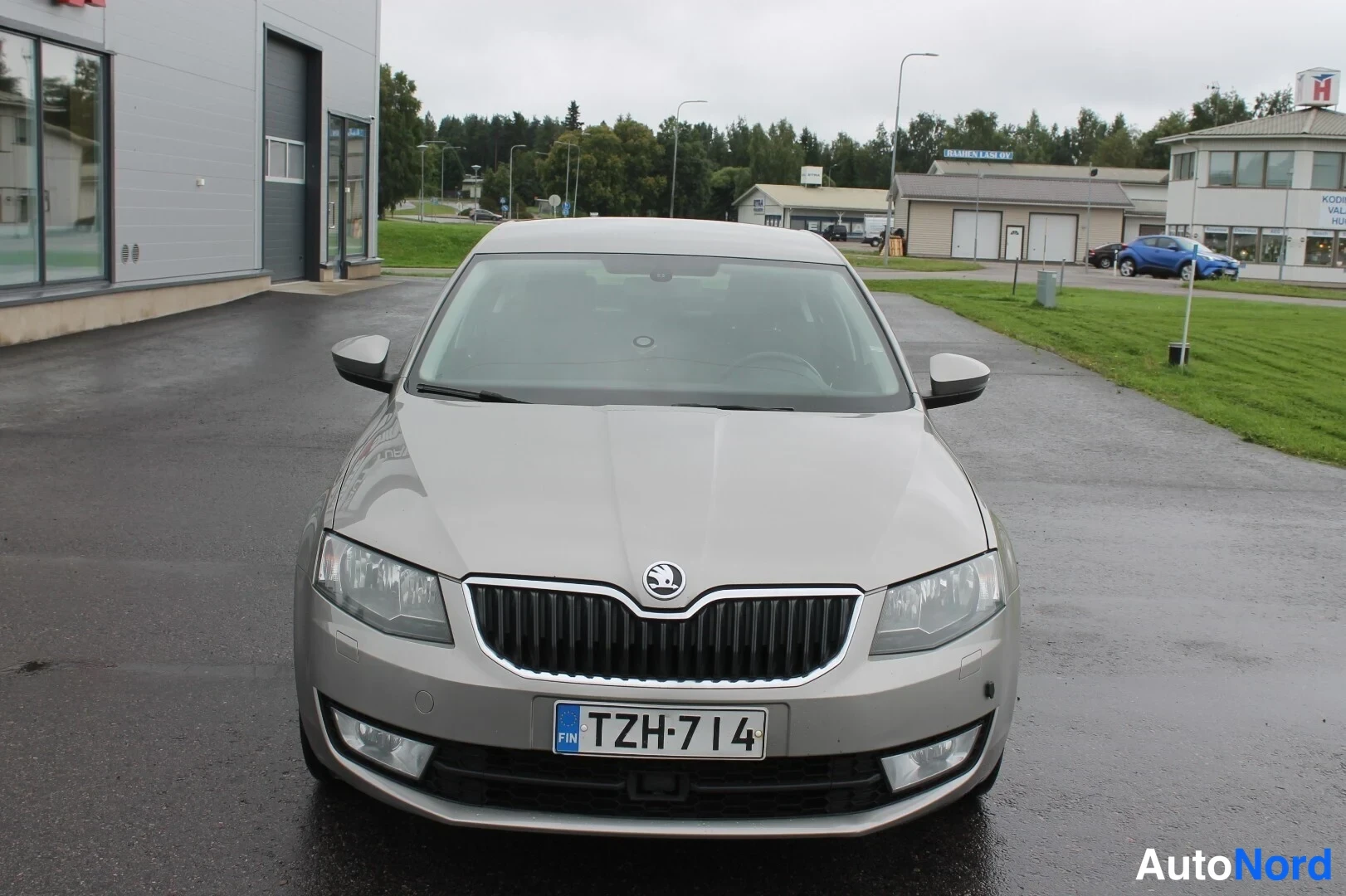 Edestä: Skoda Octavia suoraan edestä, rekisteritunnus, vaaleanbeige kori.