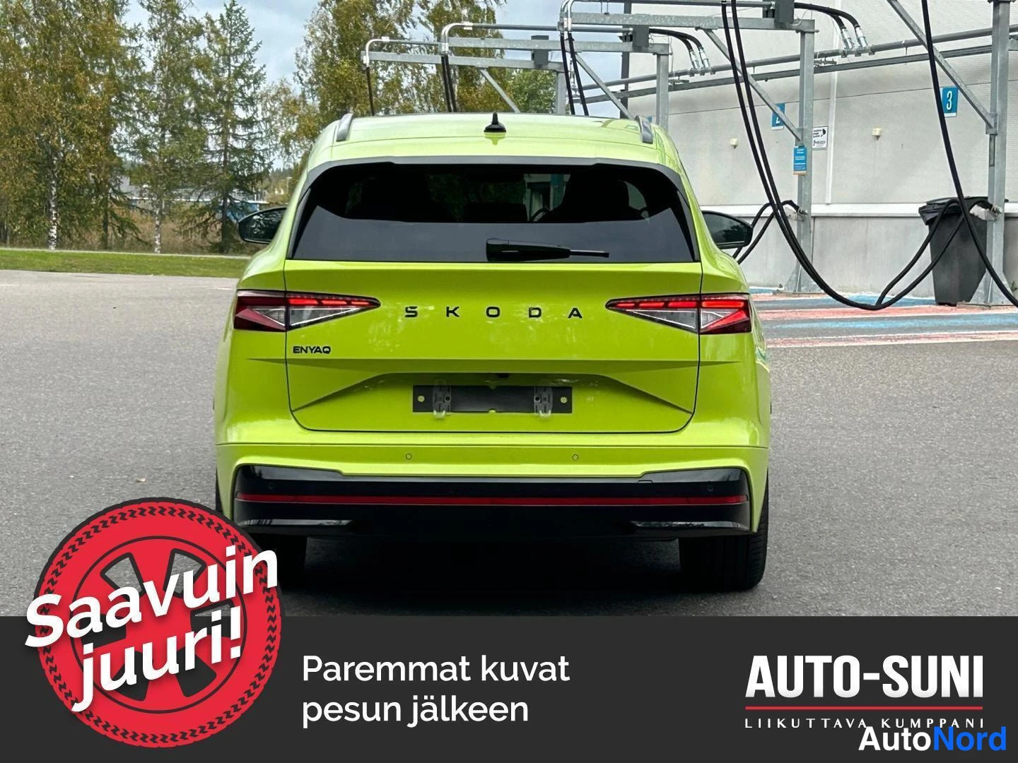 Takaa: Head-on shot of the green Skoda Enyaq taken at a charging station. The rear face is fully centered in the frame. 'SKODA' lettering spans the upper tailgate, and