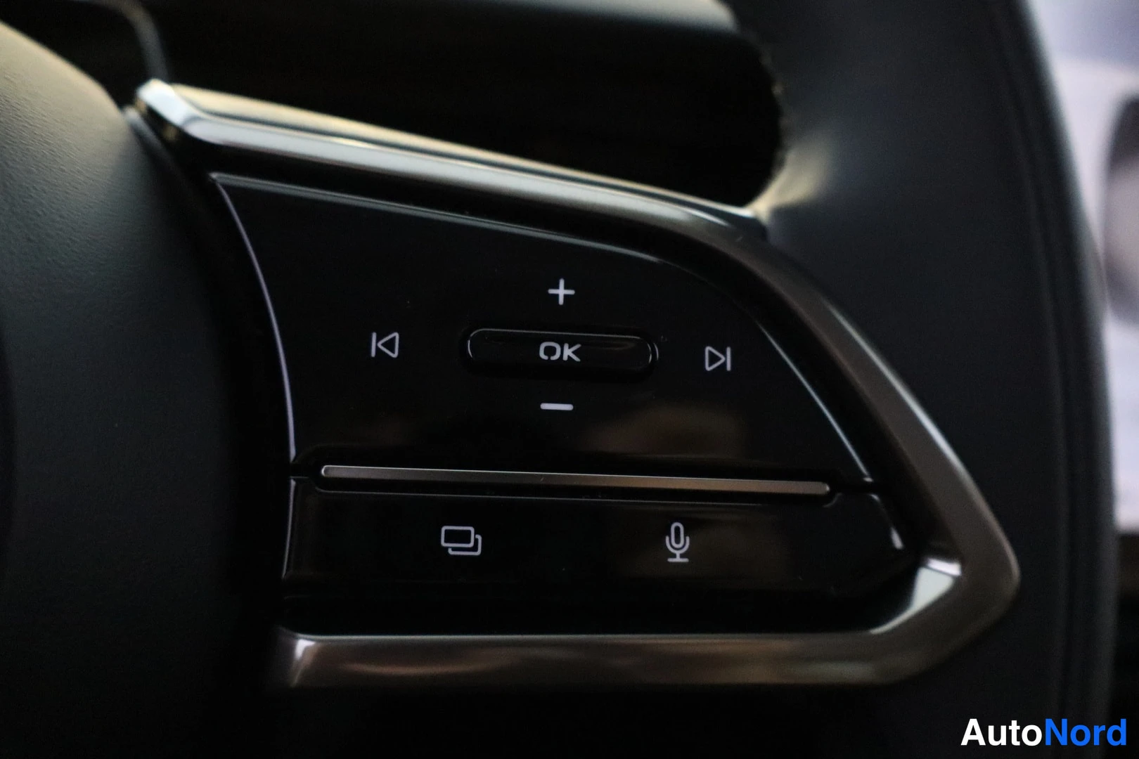 Yksityiskohta: Close-up of the left-side steering wheel controls including media playback buttons, voice command input (microphone icon), display toggle, and scroll/selection
