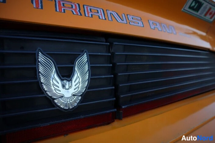 Takaa: Lähikuva oranssin auton takapyrstöstä, jossa TRANS AM -teksti ja kotka-emblem.