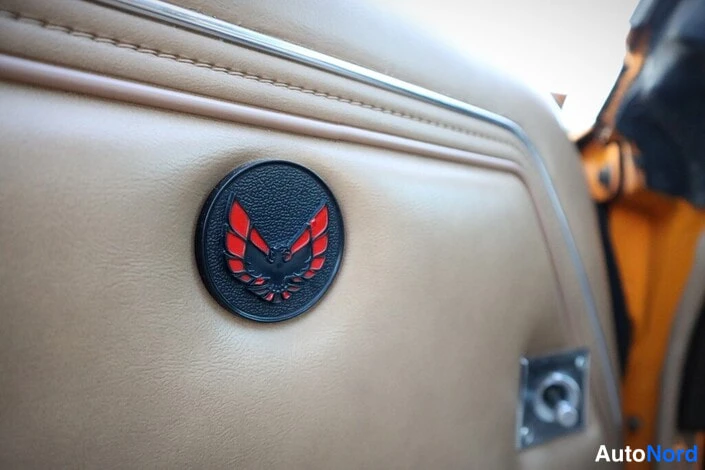 Yksityiskohta: Beige:n ovipanelin musta pyöreä firebird-tunnuksellinen peite keskuslukon nappia vasten.