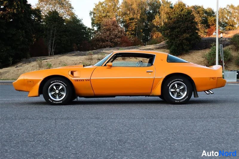 Keltainen Pontiac Firebird Trans AM 1981, sivulta, kuva 9
