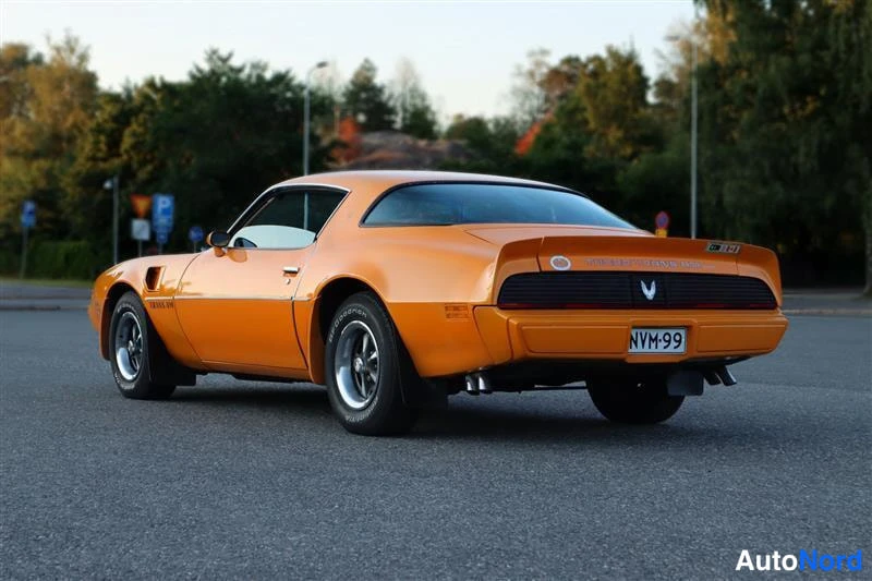 Keltainen Pontiac Firebird Trans AM 1981, takaviisto, kuva 11
