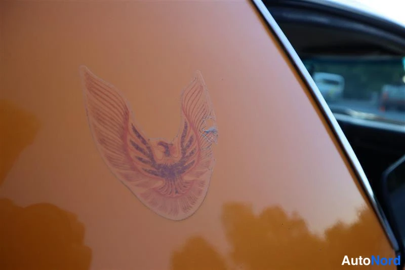 Keltainen Pontiac Firebird Trans AM 1981, yksityiskohta, kuva 26