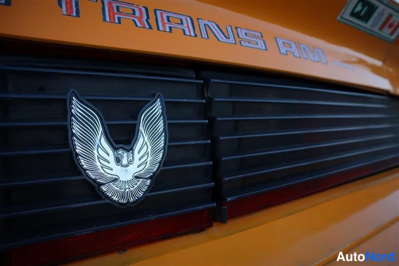 Keltainen Pontiac Firebird Trans AM 1981, yksityiskohta, kuva 27