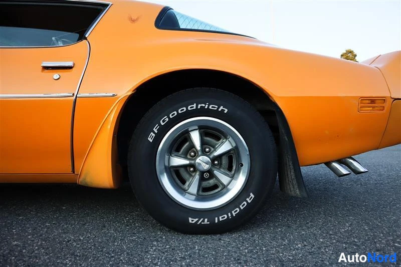 Keltainen Pontiac Firebird Trans AM 1981, yksityiskohta, kuva 28