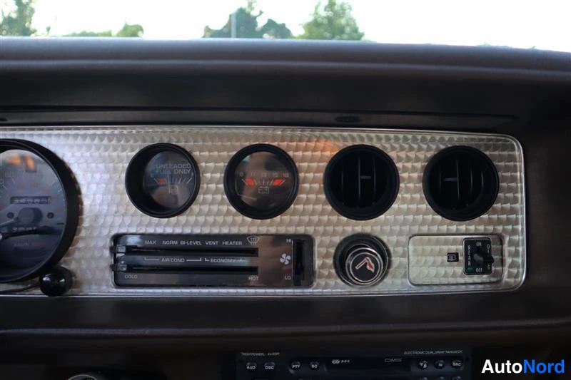 Keltainen Pontiac Firebird Trans AM 1981, yksityiskohta, kuva 30