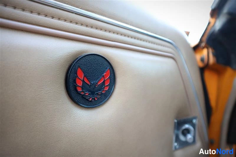 Keltainen Pontiac Firebird Trans AM 1981, yksityiskohta, kuva 32
