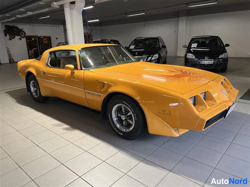 Keltainen Pontiac Firebird Trans AM 1981, etuviisto, keula oikealle, kuva 6