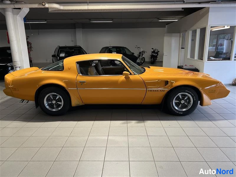 Keltainen Pontiac Firebird Trans AM 1981, sivulta, kuva 10