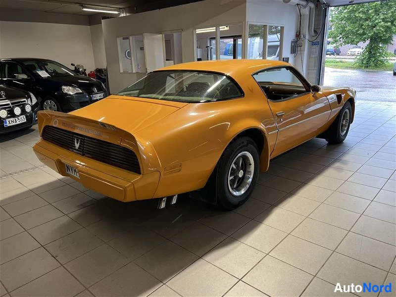 Keltainen Pontiac Firebird Trans AM 1981, takaviisto, kuva 13