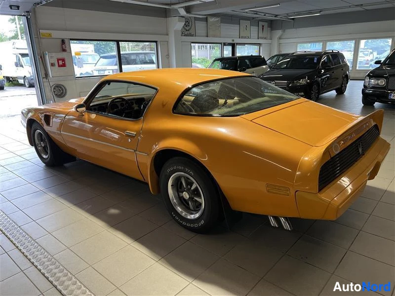 Keltainen Pontiac Firebird Trans AM 1981, takaviisto, kuva 14