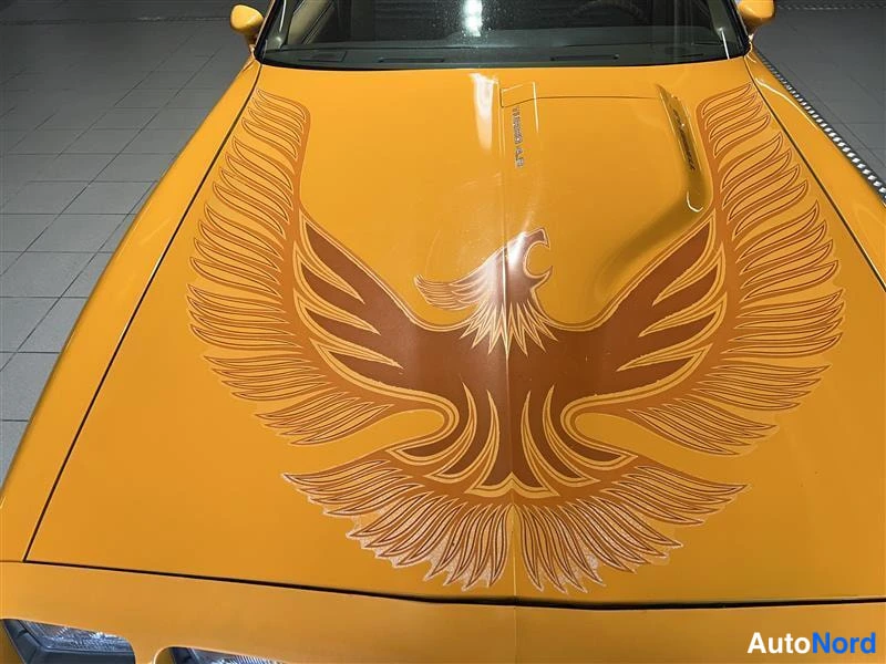 Keltainen Pontiac Firebird Trans AM 1981, yksityiskohta, kuva 35