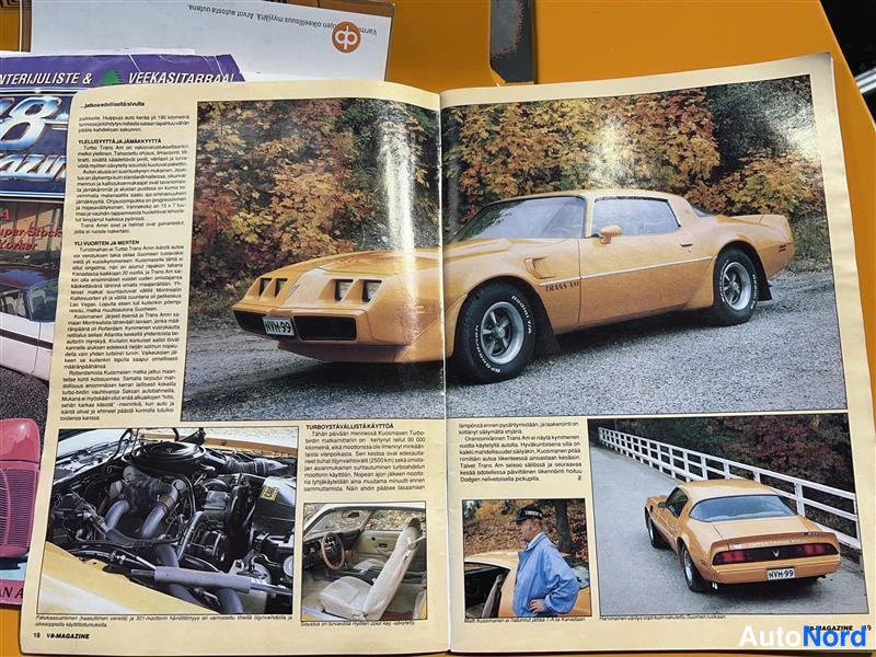 Keltainen Pontiac Firebird Trans AM 1981, kuva 38