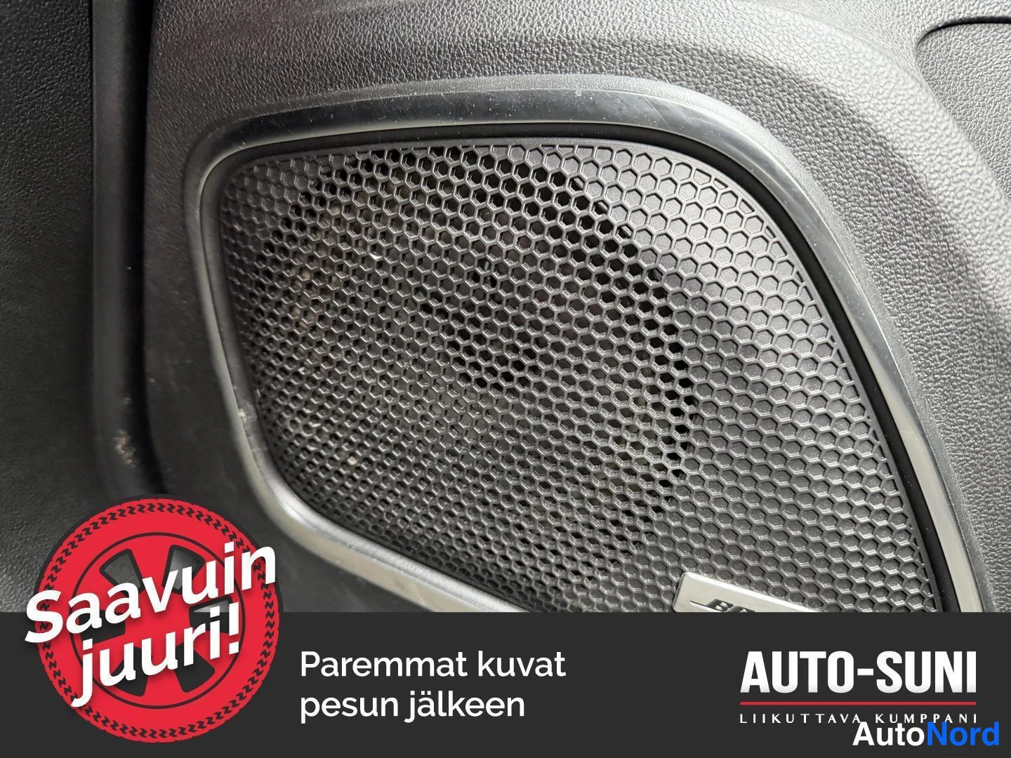 Muu: Tarkka kuva oven kaiuttimesta harmaassa ovipaneelissa.