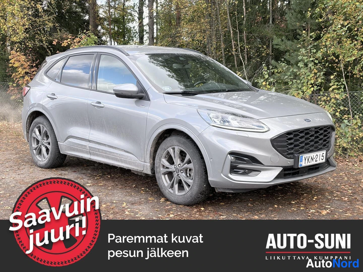 Ford Kuga, 2020