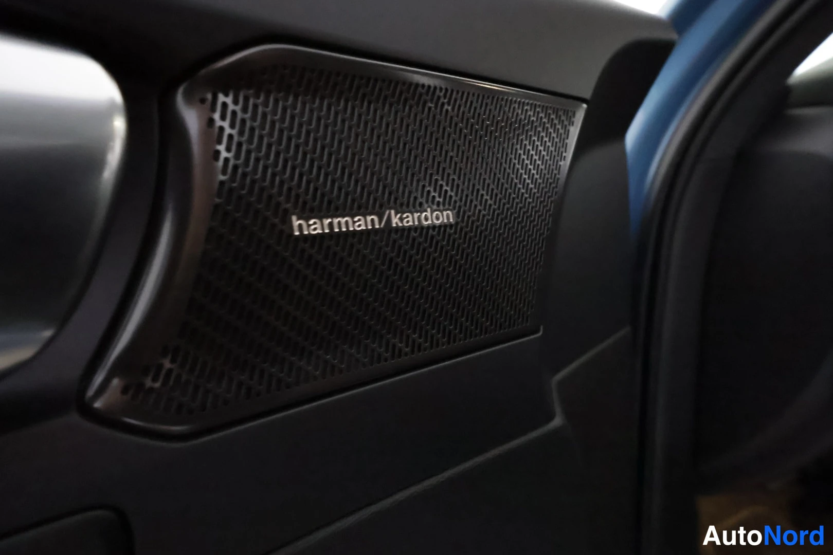 Yksityiskohta: Oven sisäpaneelin Harman Kardon -kaiuttimen ritilä lähikuvassa.