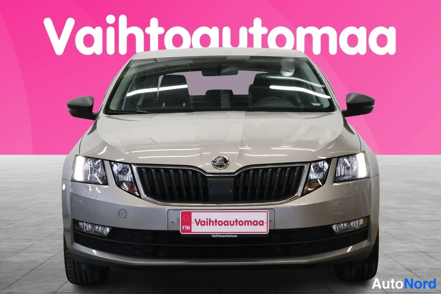 Edestä: Vaaleanbeige Skoda Octavian keula suoraan edestä: etugrilli, summut ja ajovalot, etupyörät näkyvissä; pinkki tausta.